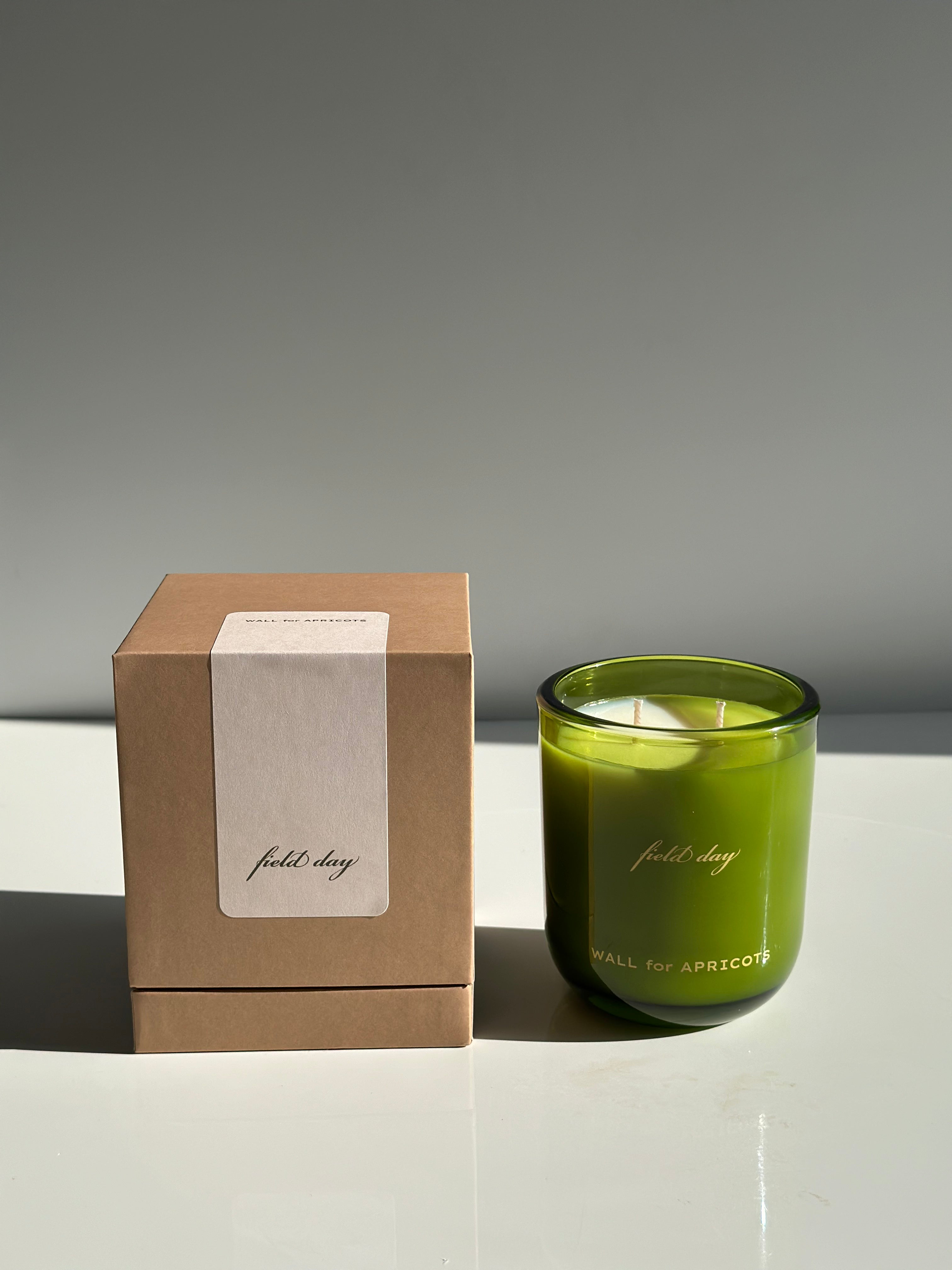 Field Day Candle – Wall For Apricots